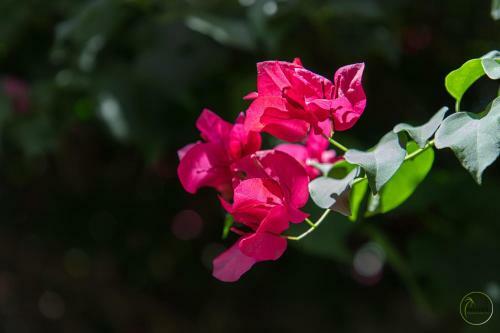 Apartamento Paradise Departamentos