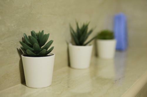 Apartman Vip Aleksa Zlatibor Centar