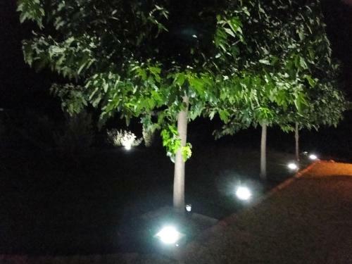 Bed & Breakfast Les H�tes De La Combe Mouis