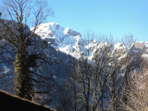 Hotel Les Tilleuls