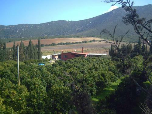 Agroturismo Farms Stay L'agrumeto