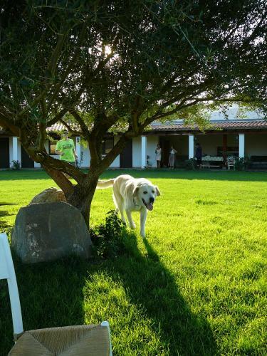 Agroturismo Farms Stay L'agrumeto