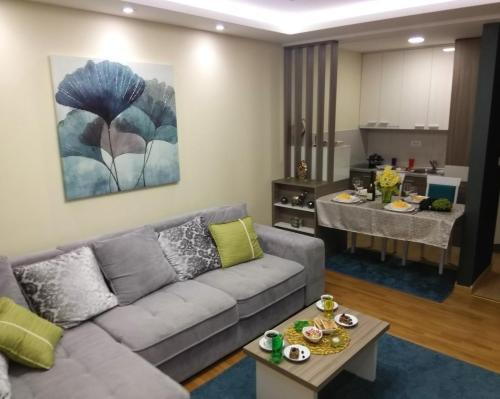 Apartman Montis Zlatibor