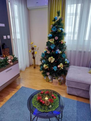 Apartman Montis Zlatibor