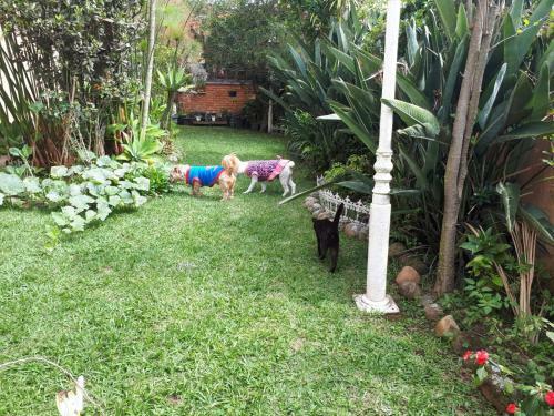 Apartamento Su�te Com Vista Da Serra