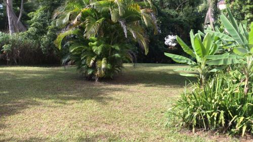 Apartamento Mattoso House
