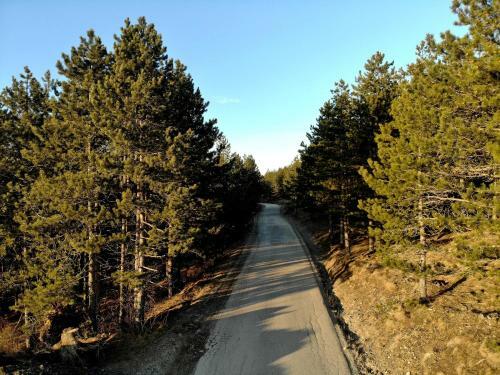 Apartamentos Zlatibor Hills Royal