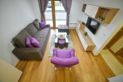 Vila Elsa Apartmani Kosta Todorovic