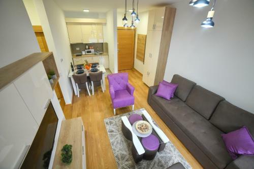 Vila Elsa Apartmani Kosta Todorovic