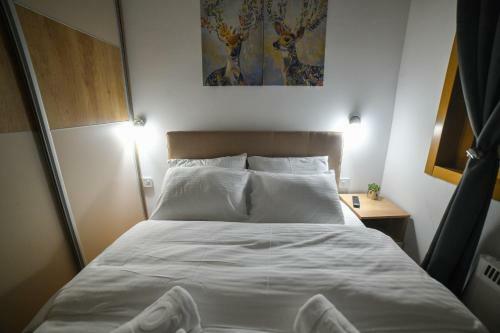 Vila Elsa Apartmani Kosta Todorovic