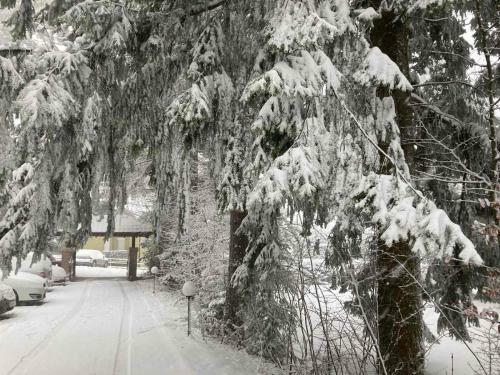 Apartman ?umski Vilenjak