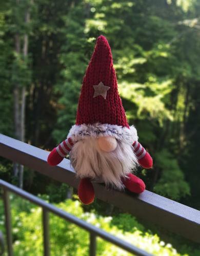 Apartman ?umski Vilenjak