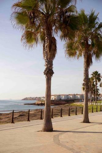 Apartament Pablo Playa Flamenca - Costa Blanca