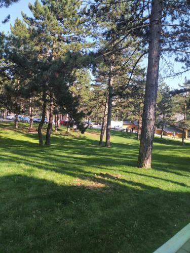 Apartman Bella