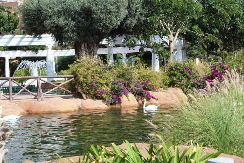 Apartamento Apcostas Marina D'or 1era L�nea