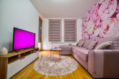 Apartment Vanja Lux Binis