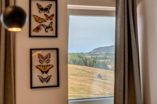 Apartamento Gondolaapartmj 25