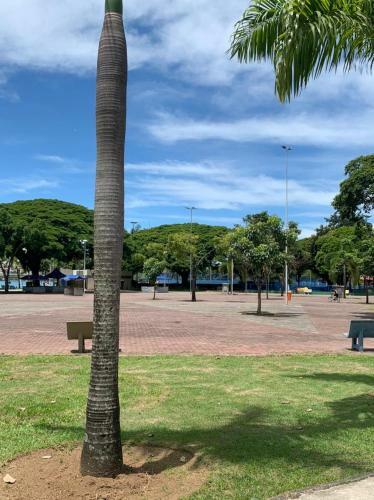 Apartamento Flat Home Experience Praia Do Canto