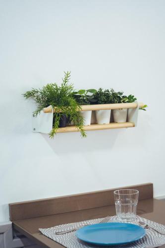 Apartamento Green Coast