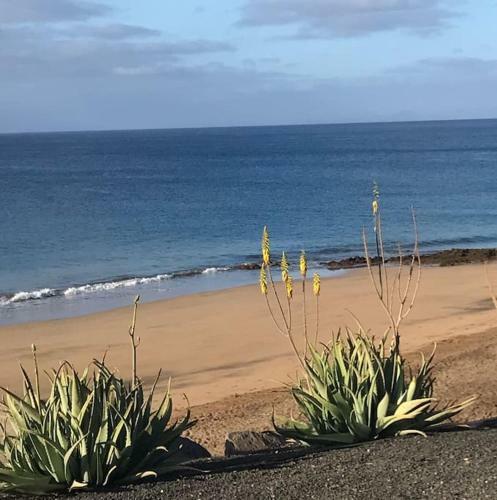 Apartamento Casa Serenidad