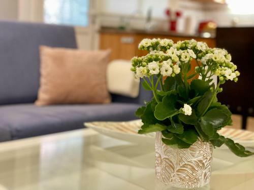 Apartamento Elegante Piso En Puerto De La Cruz