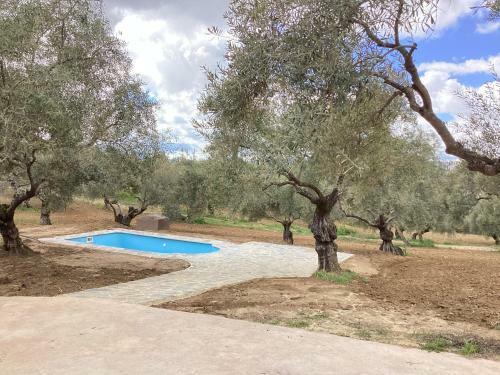 Alojamiento Rural El Olivar
