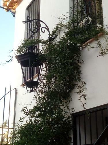 Hostal Casa Del Artista Viajero