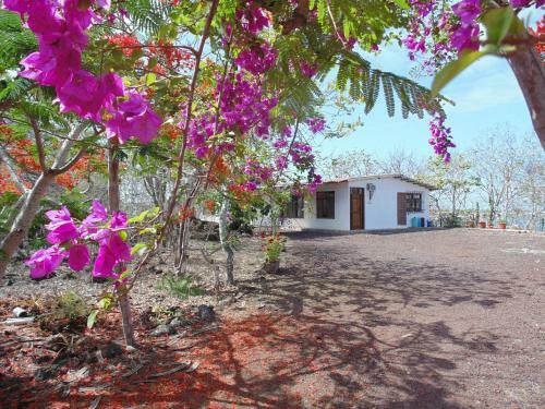Casa Verde Vacation Garden Home