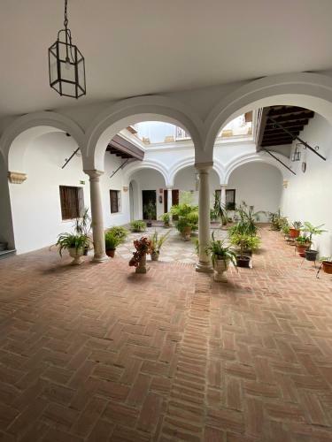 Apartamento Laspalomas18