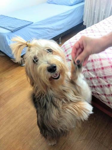 Quarto Com Frigobar Tr�s Quadras Mar Aceita Pets