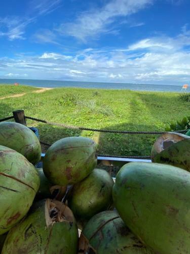 Apartamento Relax Frente Mar
