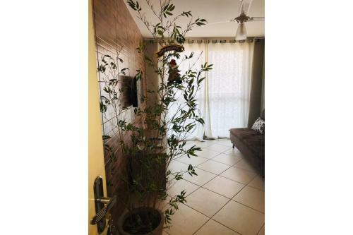 Apartamento Vista Para Toda A Praia!