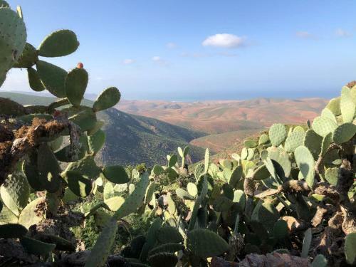 Apartamento Tibougraych Appartement Mirleft