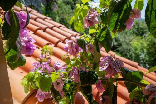Villa Charme Toscana