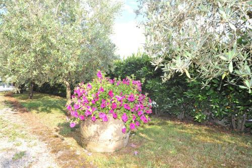 Hotel Locanda Podere Il Riposo