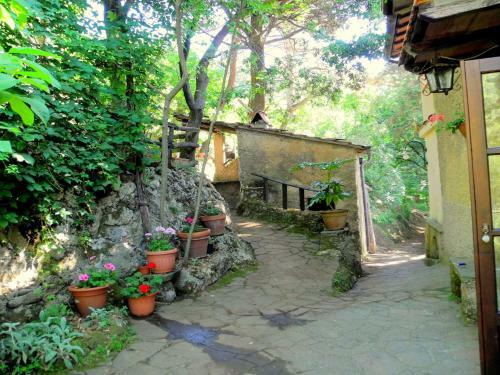Lodge Holiday Home Stella Camaiore