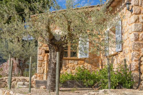 Villa Els Abats