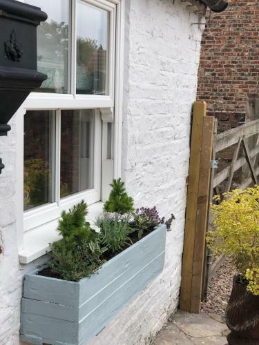 Agroturismo Stapleton & Parkgate Cottages