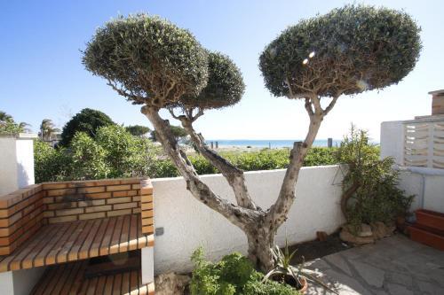 Casas Blancas 4