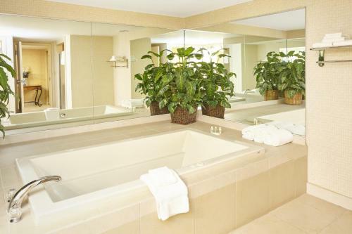 Hotel Holiday Inn Allentown Lehigh Valley