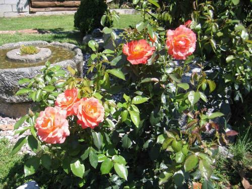 Cozy Apartment In Roncegno Terme With Garden