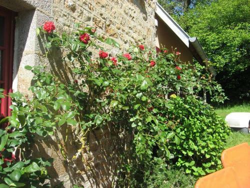 Hostal G�tes Ruraux Et Maison D'h�tes Saint Michel