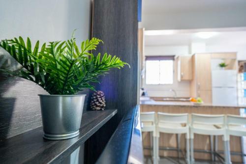 Apartamento Aguaviva Perfect Holiday