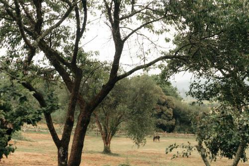 Casa De La Pradera