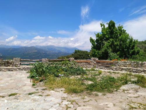 Bed & Breakfast Massia Gasset