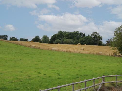 Meadow Barn