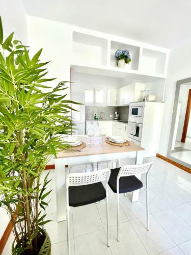 Luxury Beach Apartment Nasa