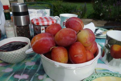 Bed & Breakfast St Michaels House