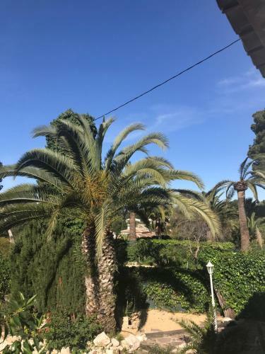 Soleil B&B