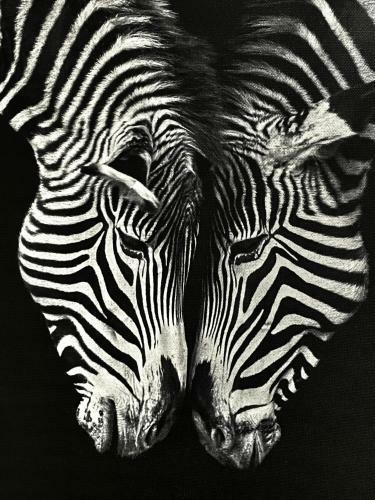 Mbiz Apartment - En-suite With Allocated Parking